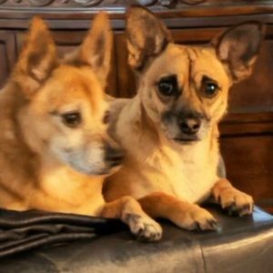 Meet your Posher, Bobby